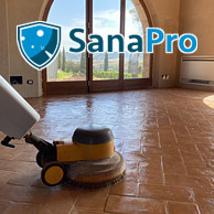 SANAPRO